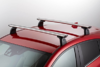Roof Rack and Roof Moulding Kit
