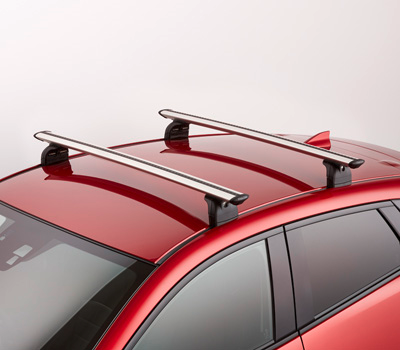 Roof rack and mouldings