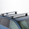Roof rack and moulding set